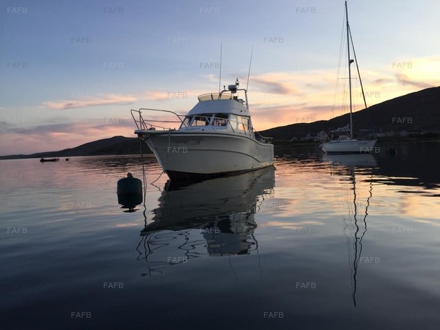 Large picture for advert 77731