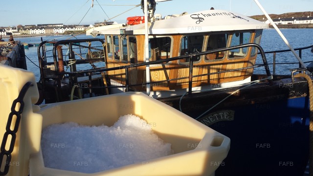 Large picture for advert 76587