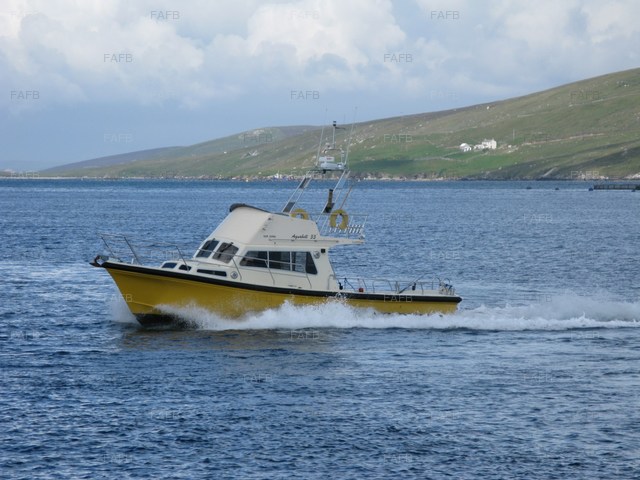 Large picture for advert 80528