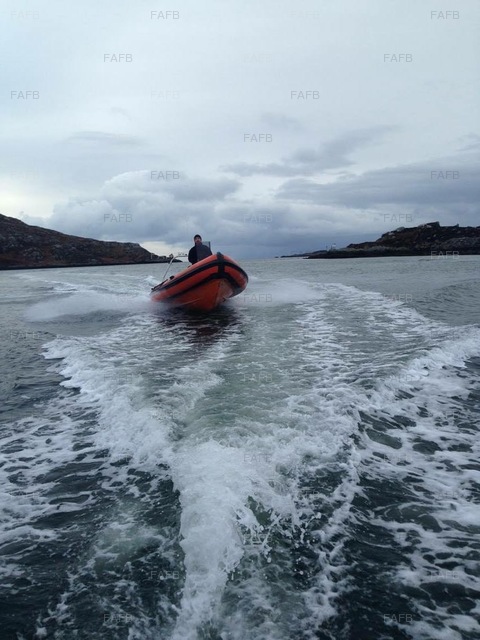 Large picture for advert 75871
