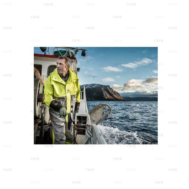 Large picture for advert 92561