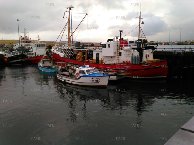 Large picture for advert 67796