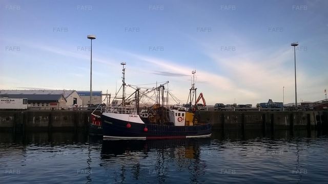 Large picture for advert 74068