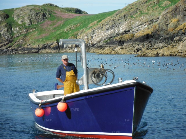 Large picture for advert 77312