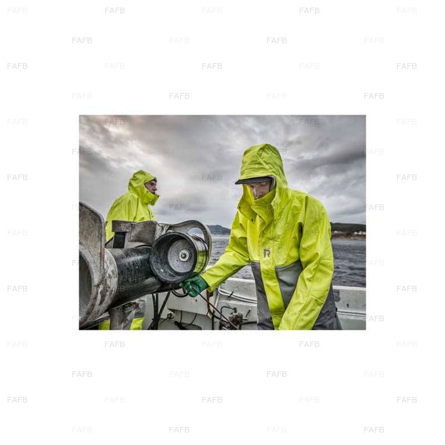 Large picture for advert 92561