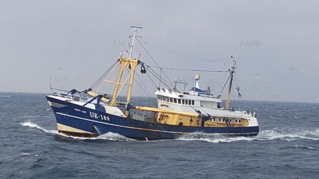 Large picture for advert 54459