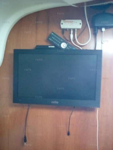 Large picture for advert 95459