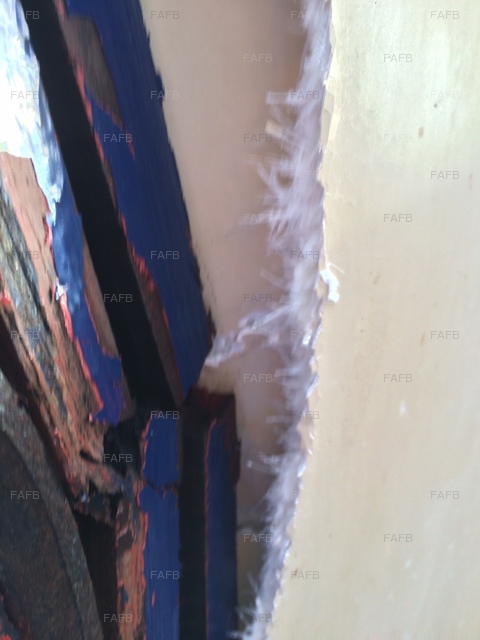 Large picture for advert 75985