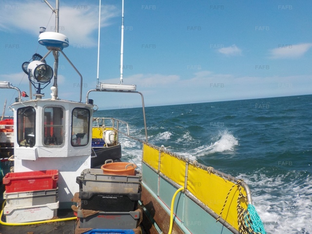 Large picture for advert 77570
