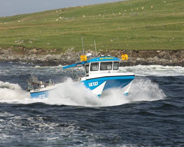 Large picture for advert 52853