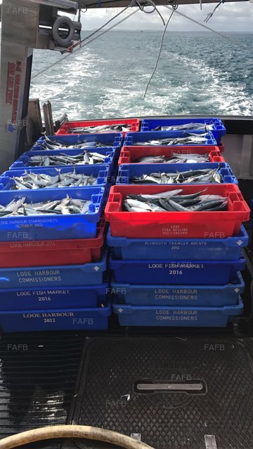 Large picture for advert 76461