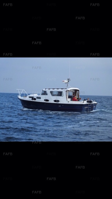 Large picture for advert 75876