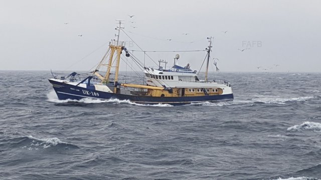 Large picture for advert 54459