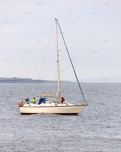 Large picture for advert 80086