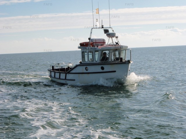 Large picture for advert 81093