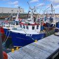 Extra picture for advert 64615