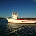 Extra picture for advert 94462