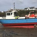 Extra picture for advert 95358