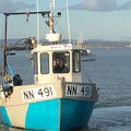 Extra picture for advert 84146