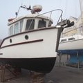 Extra picture for advert 81093