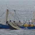Extra picture for advert 91422