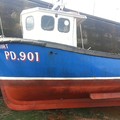 Extra picture for advert 69130