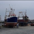 Extra picture for advert 64615