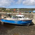 Extra picture for advert 80389