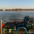 Extra picture for advert 73714