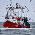 Extra picture for advert 95962