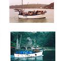 Extra picture for advert 41676