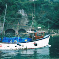 Extra picture for advert 41676