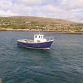 Extra picture for advert 42585