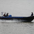Extra picture for advert 48475