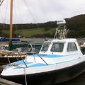 Extra picture for advert 48967
