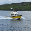 Extra picture for advert 51012