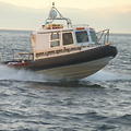 Extra picture for advert 52304
