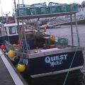Extra picture for advert 52455