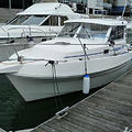 Extra picture for advert 59410