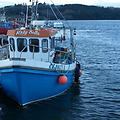 Extra picture for advert 60576
