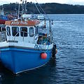 Extra picture for advert 60576