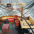 Extra picture for advert 63393