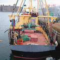 Extra picture for advert 63393