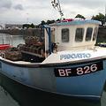 Extra picture for advert 64460