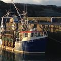Extra picture for advert 64615
