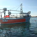 Extra picture for advert 64540