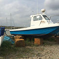 Extra picture for advert 65711