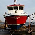 Extra picture for advert 66179