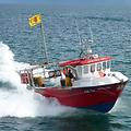 Extra picture for advert 66154