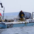 Extra picture for advert 95647